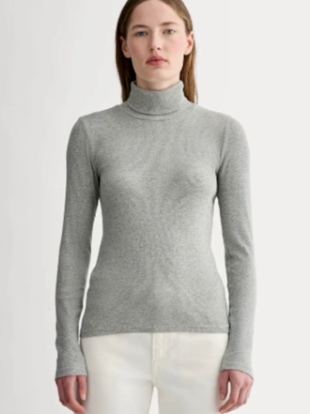 Everlane The Luxe Rib Turtleneck
